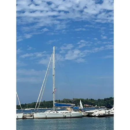 S Odyssey 21032i